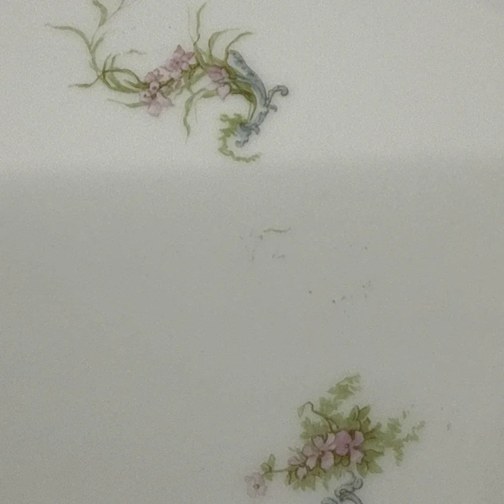 Antique Haviland of France Limoges 18 inch Serving Platter Victorian Style